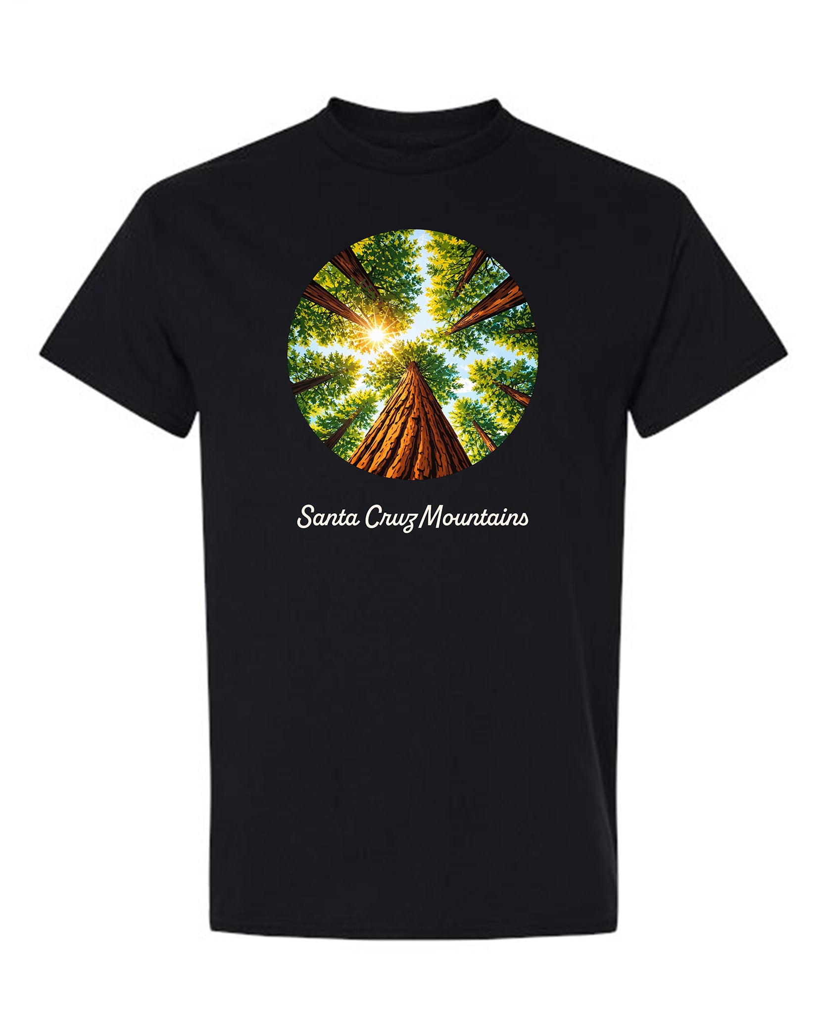 Redwood Circle Looking Upwards Views T-Shirt | %100 Cotton